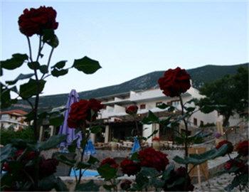 Aristotelis Hotel  Epidavros