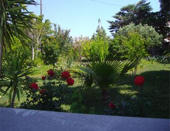 Villa Thymari Garden Rethymno